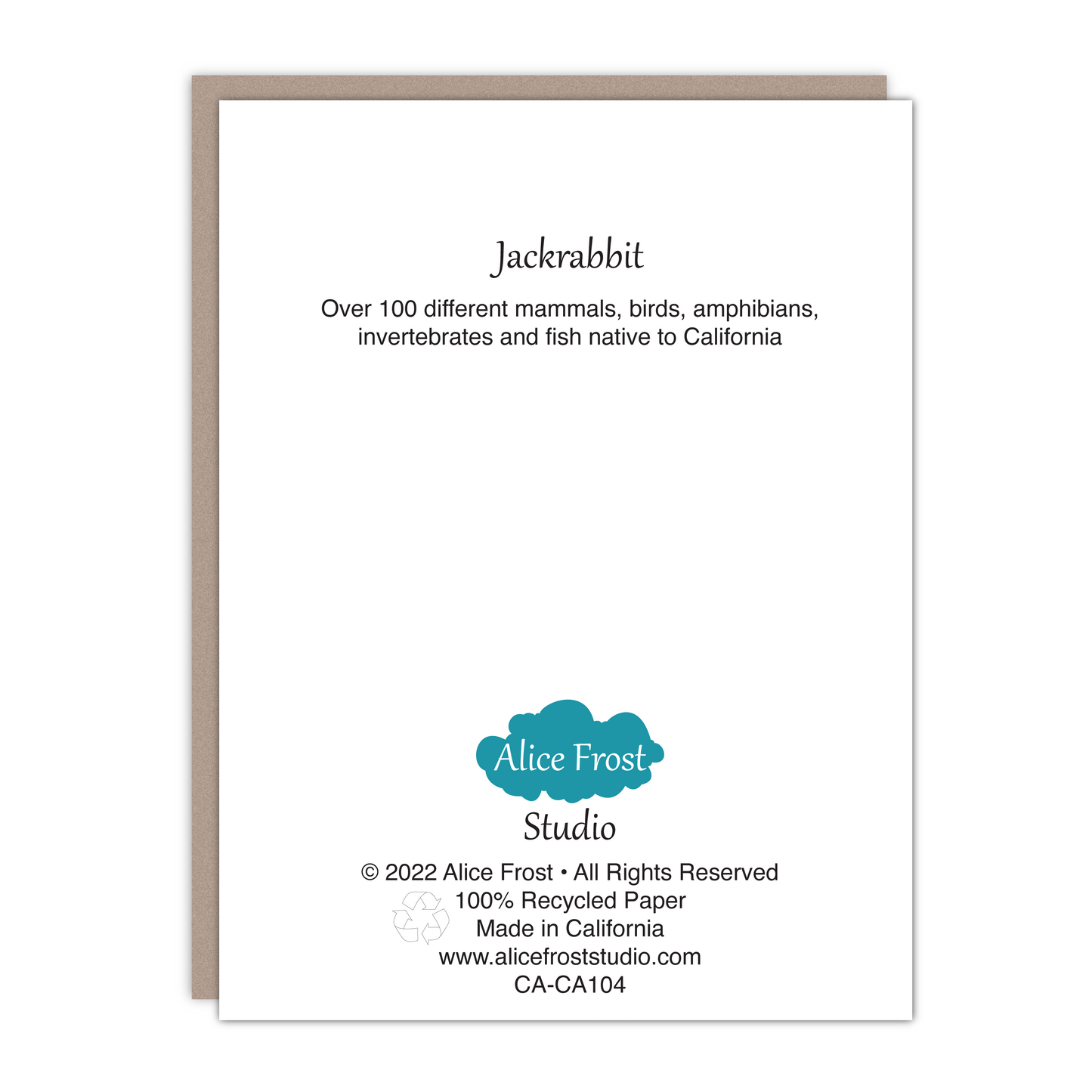 New size! Jack Rabbit Card - Alice Frost Studio