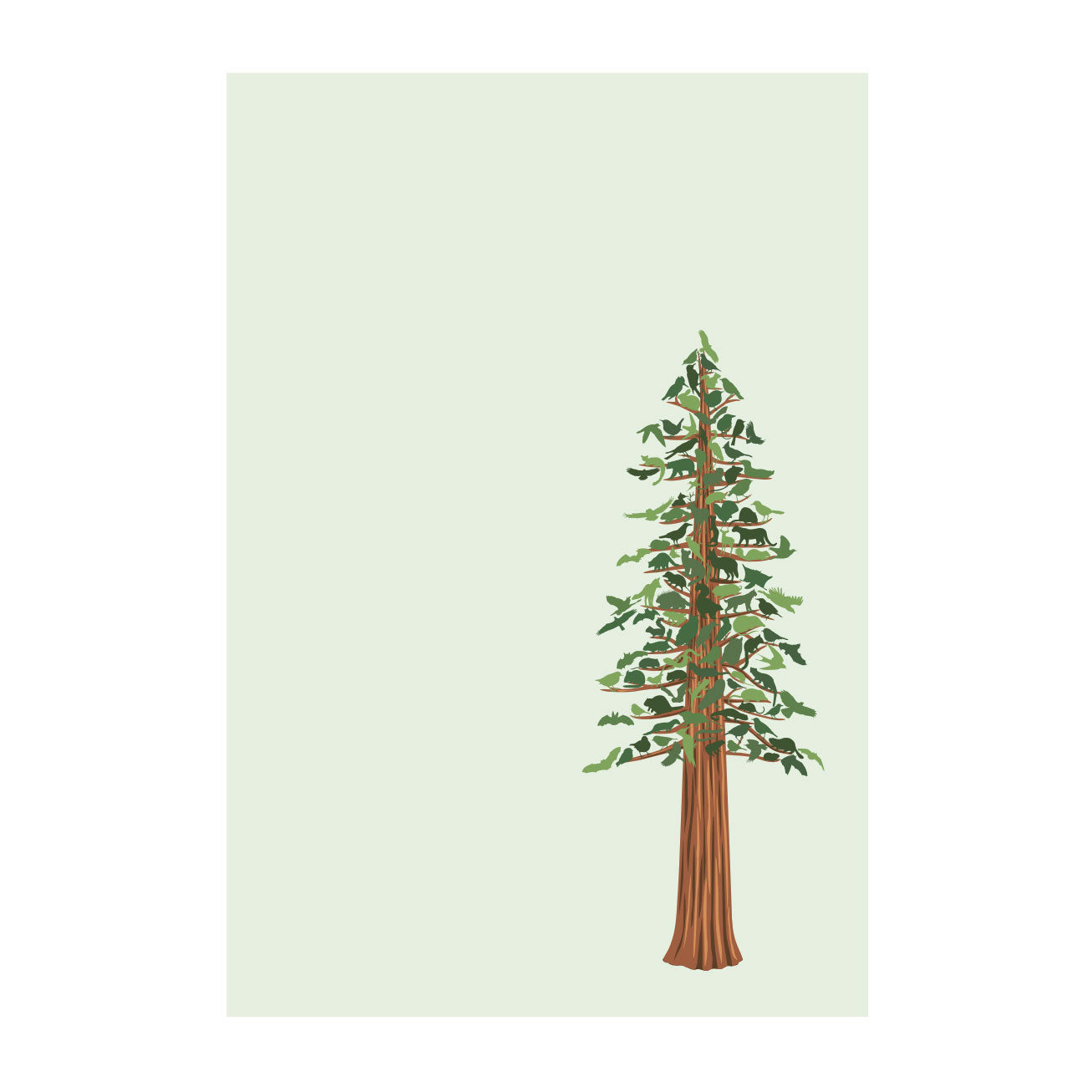redwood tree drawing