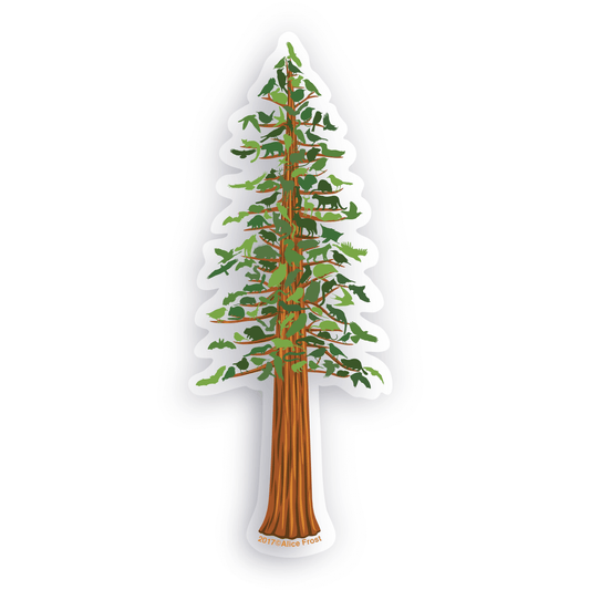 Transparent vinyl sticker of a redwood tree, showcasing native flora and fauna, perfect for nature lovers and outdoor use.