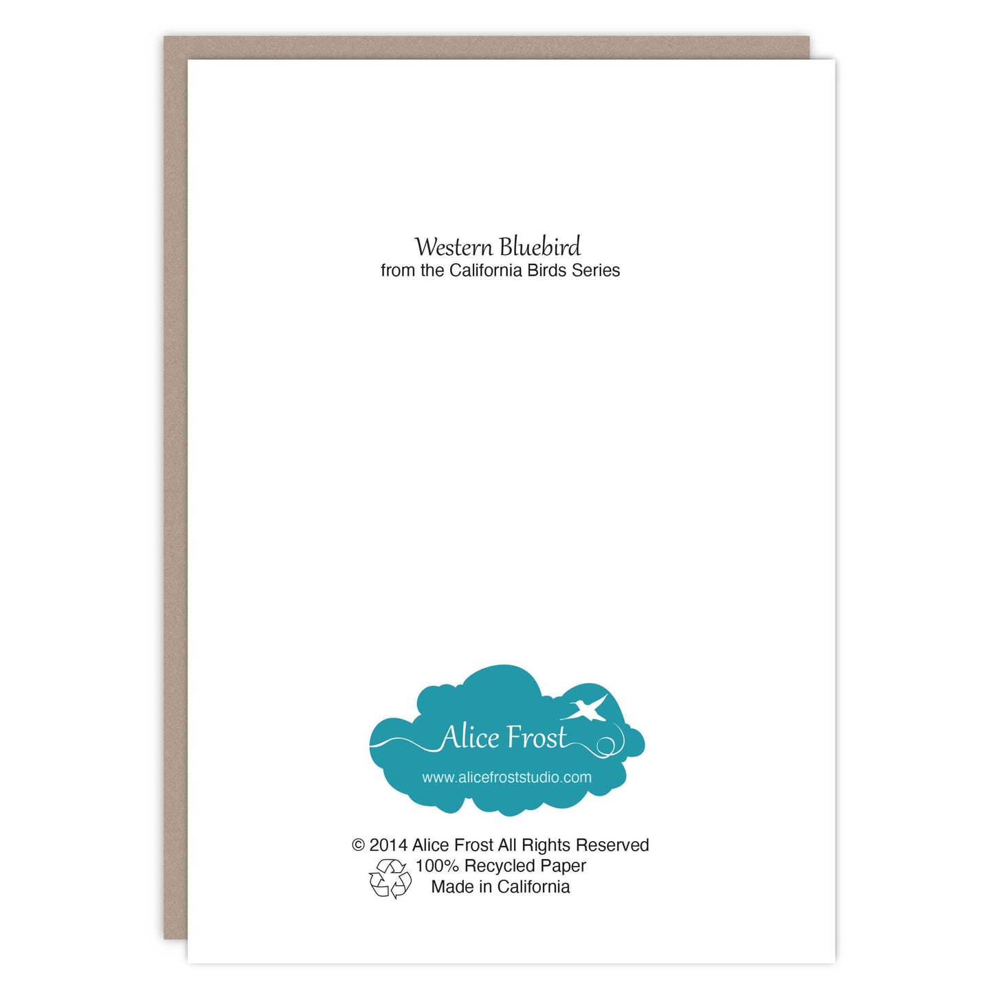 Western Bluebird Art Card - Alice Frost Studio
