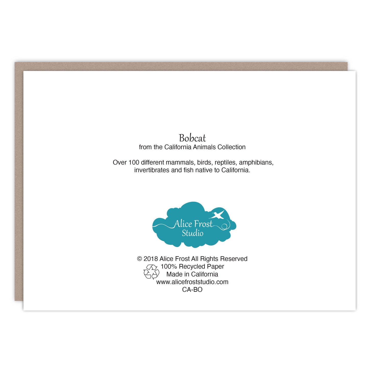 Bobcat Card - Alice Frost Studio