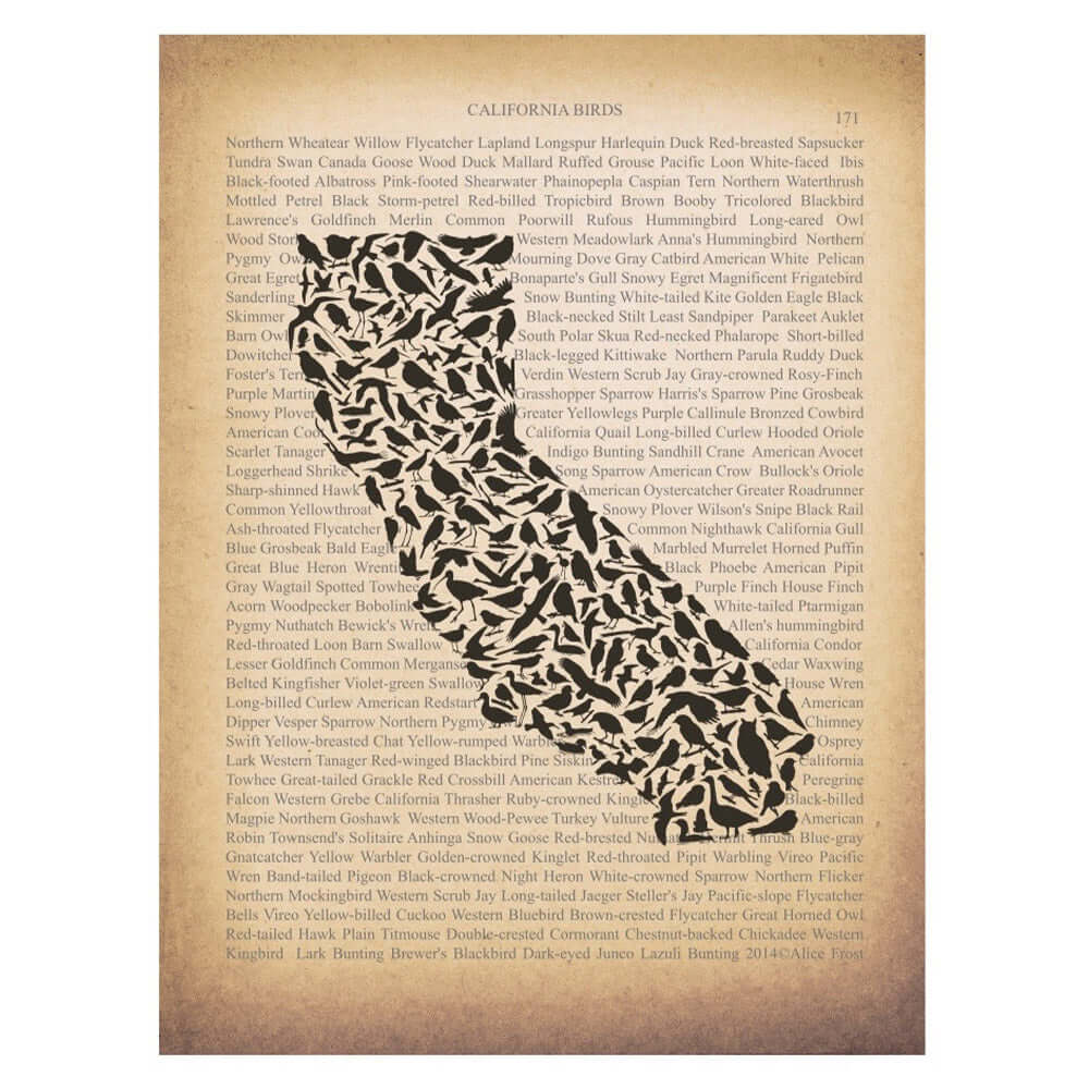 California Birds Book Page Art Print 8x10 for Bird Lovers - Alice Frost Studio