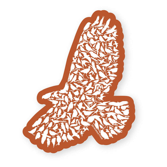 Red-tailed hawk vinyl sticker featuring intricate bird designs, perfect for nature lovers and outdoor use.