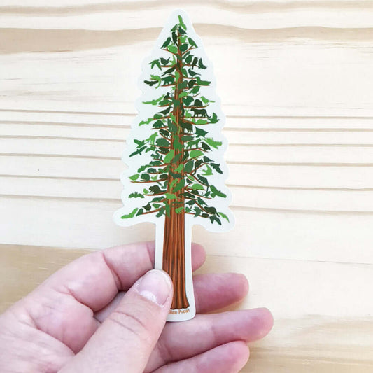 Transparent redwood tree vinyl sticker held in hand, perfect for nature lovers and outdoor enthusiasts.