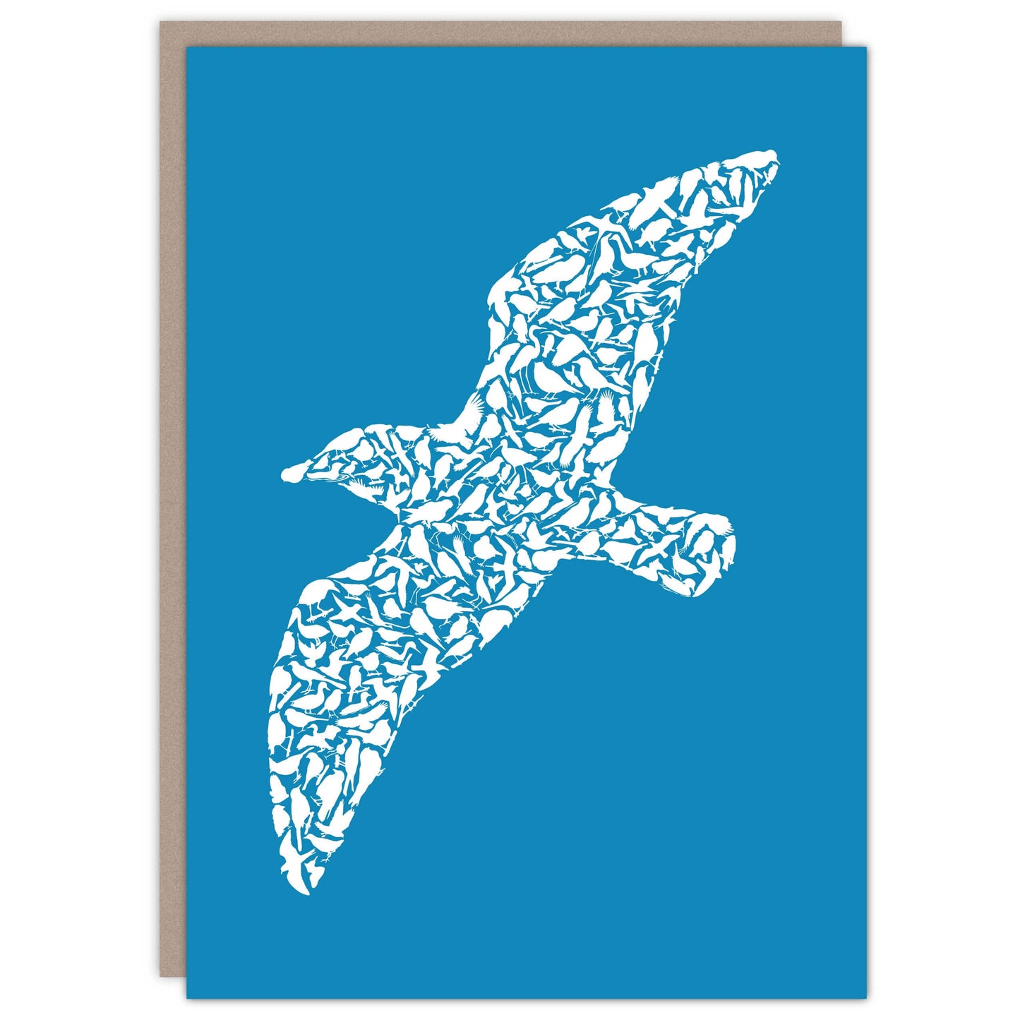Western Gull Card - Alice Frost Studio