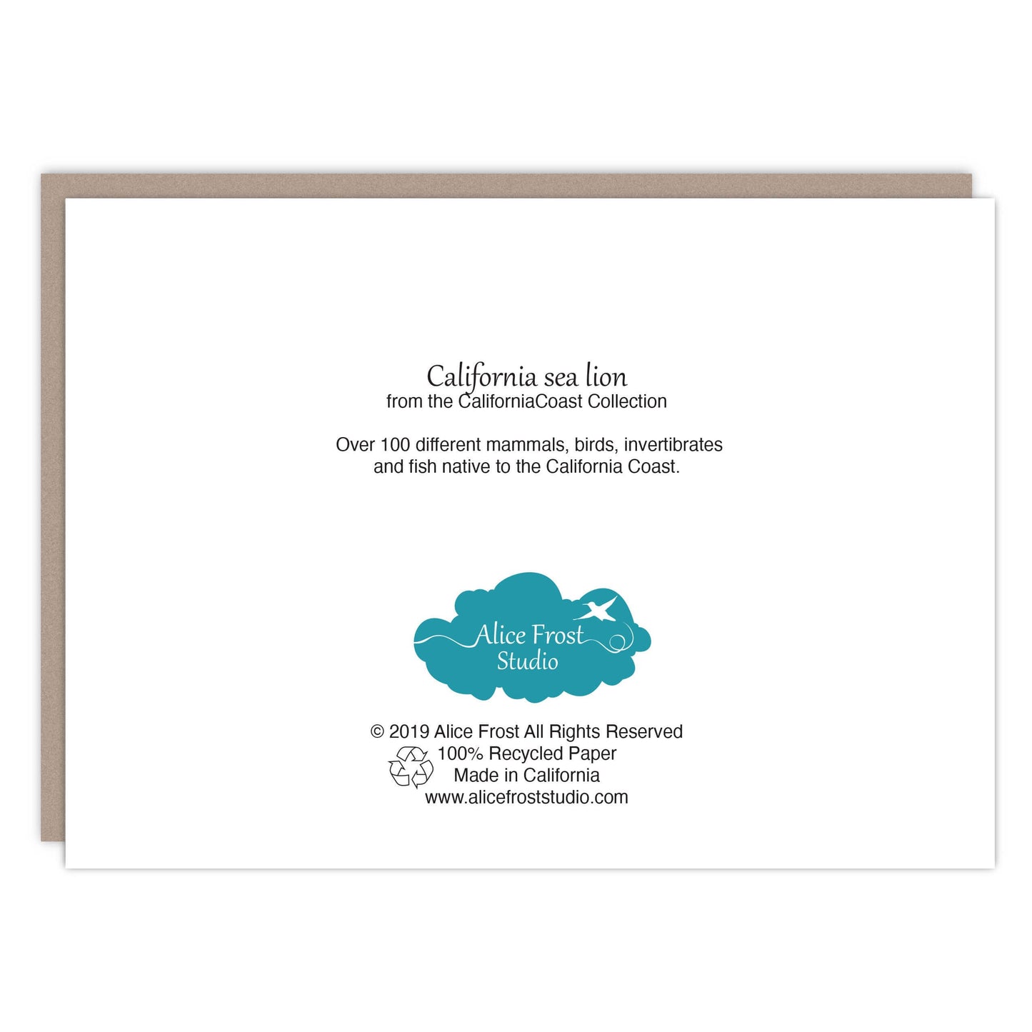 California Sea Lion Card - Alice Frost Studio