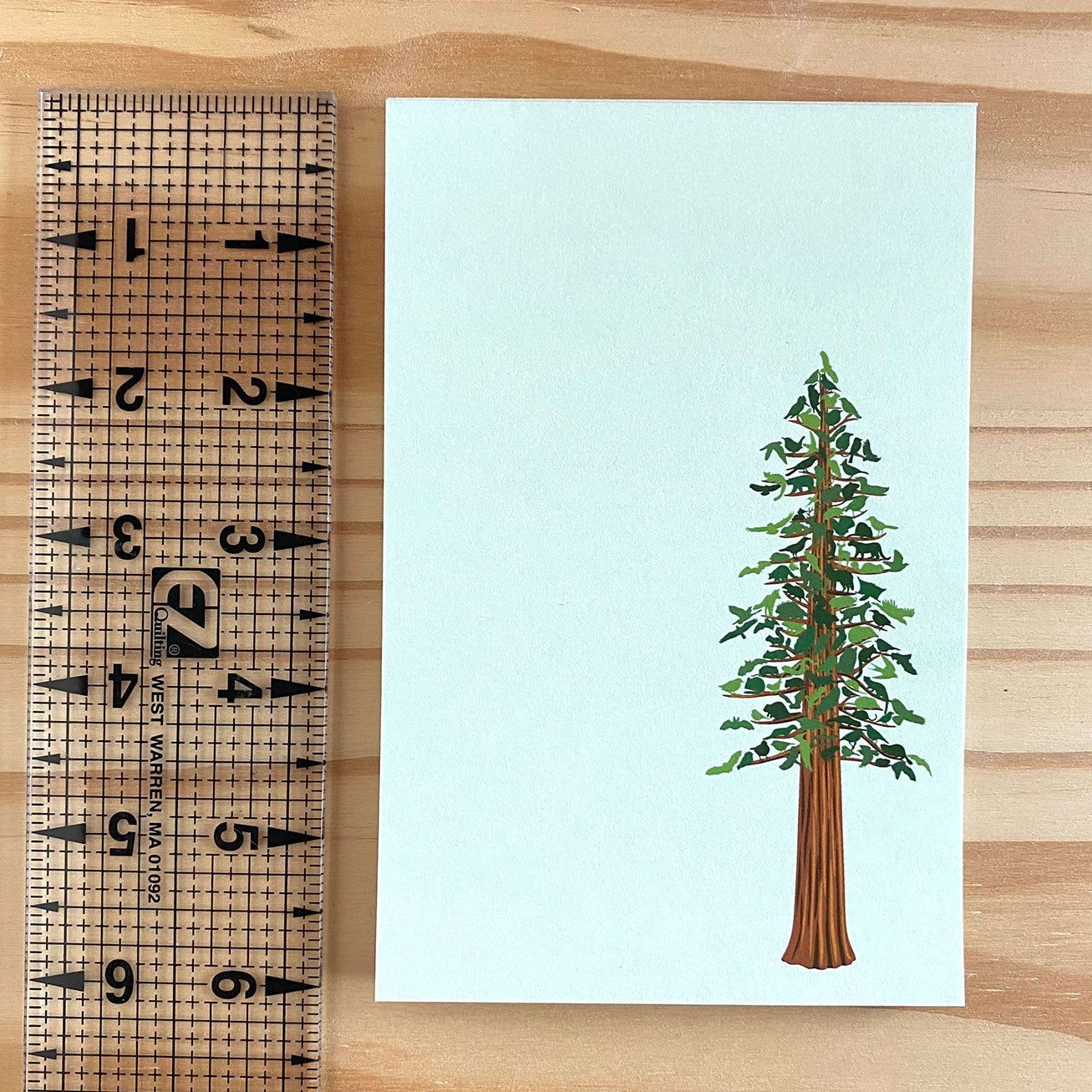 Redwood Tree Recycled Notepad - Alice Frost Studio