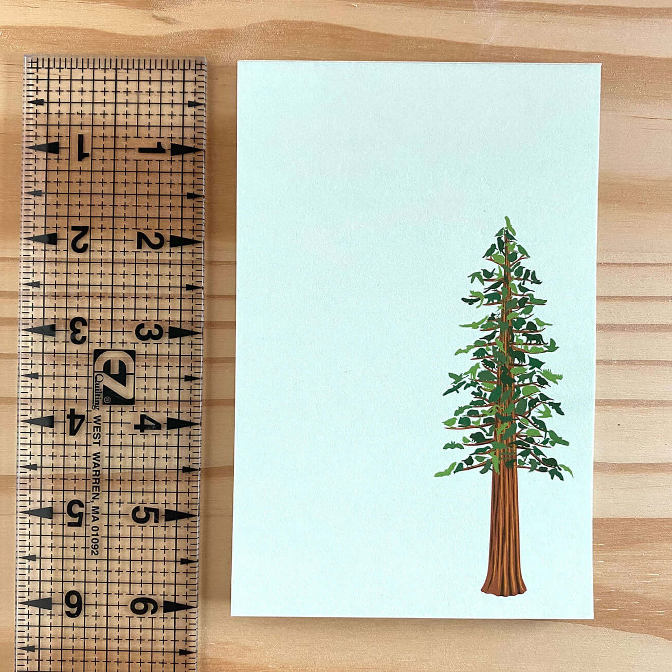 Redwood Tree Recycled Paper Notepad β Alice Frost Studio