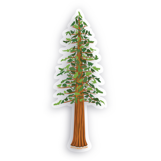 Transparent Redwood Tree Sticker - Alice Frost Studio