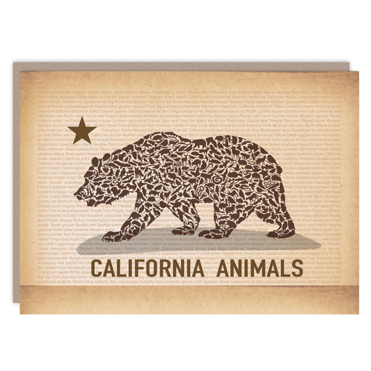 California Animals Grizzly Bear Card - Alice Frost Studio