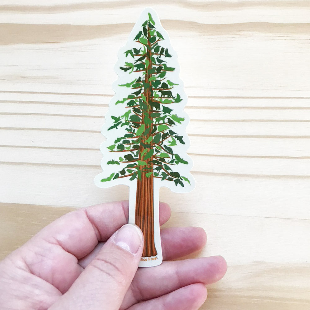 Redwood Tree Sticker - Alice Frost Studio