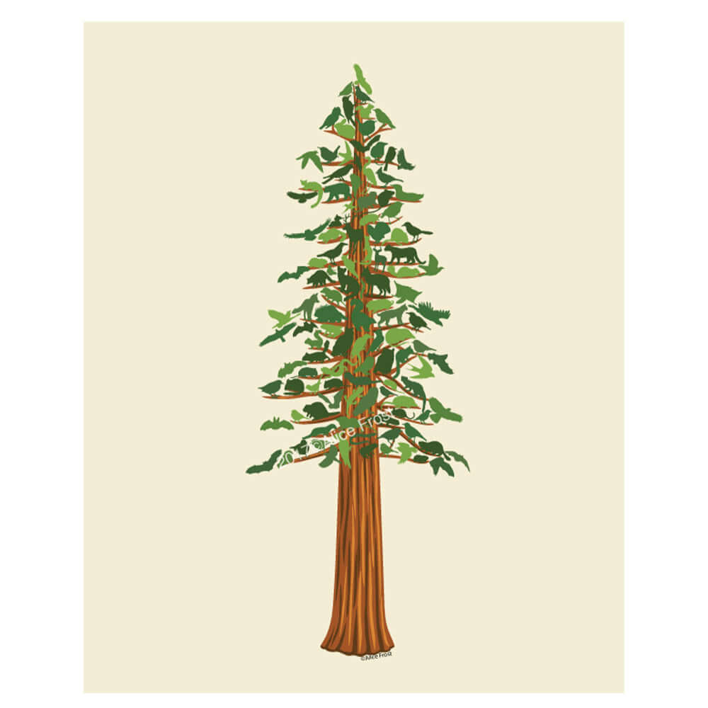 Redwood Forest Animals Wall Decor Art Print - Alice Frost Studio